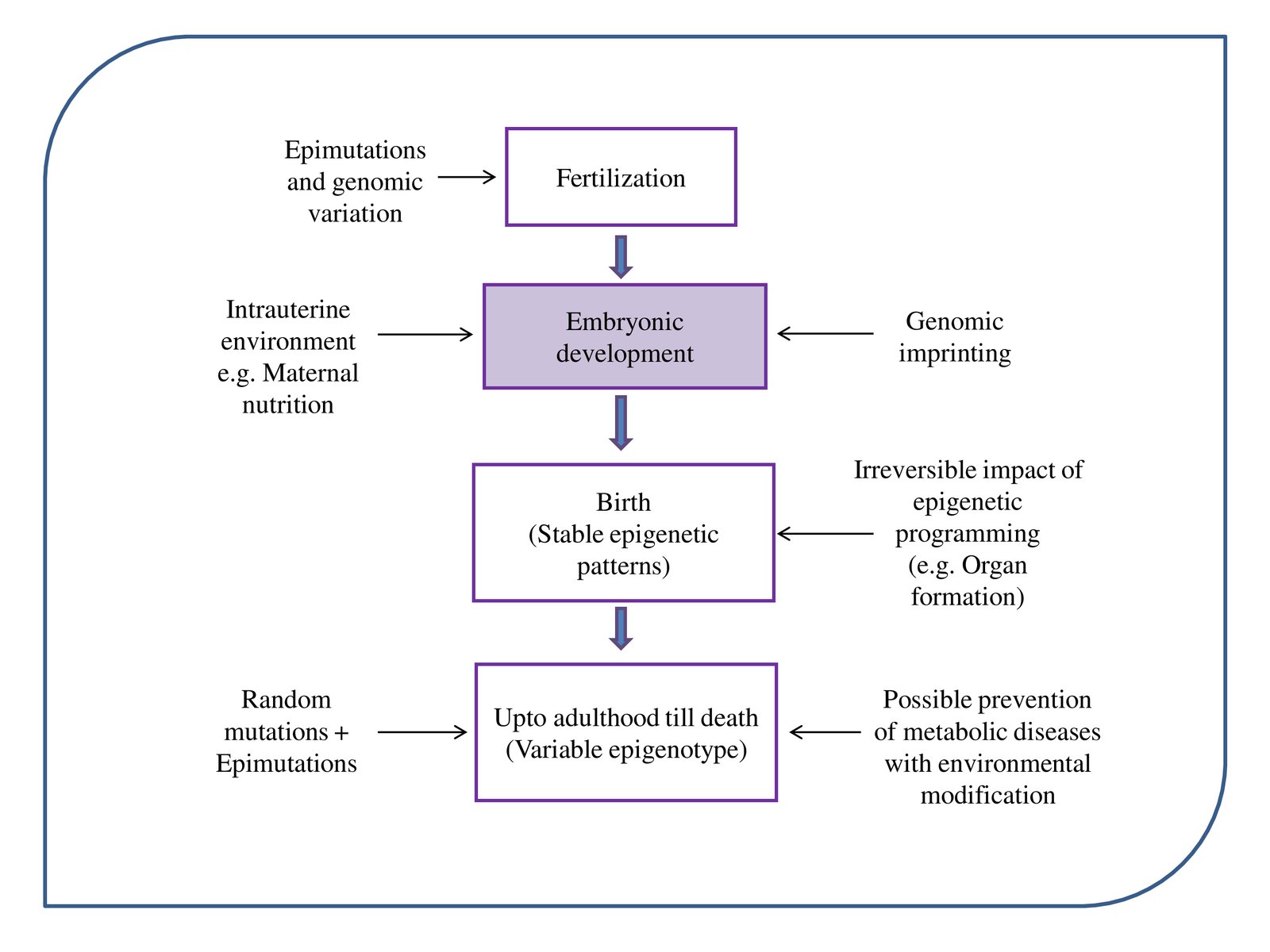 Epigenetics